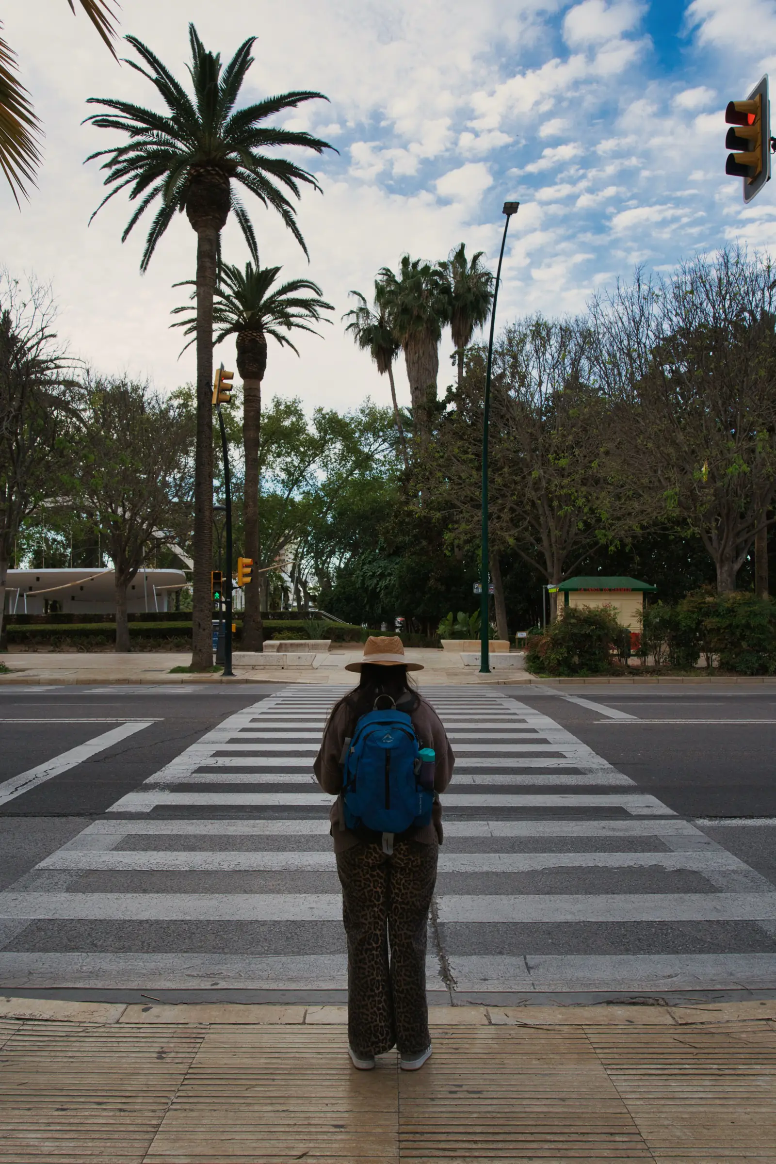 A person waiting at a pedestrian crossing in Malaga with palm trees and traffic lights