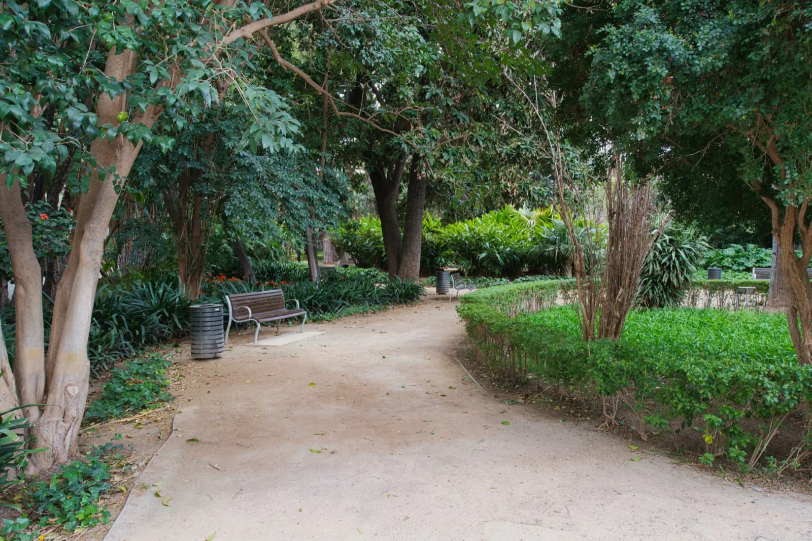 Malaga city park with trees and pathways