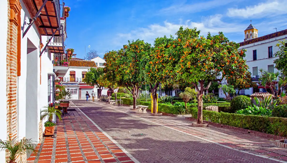 Morning coffee spot under the orange trees at Plaza de los Naranjos in Marbella