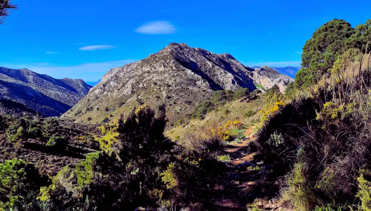 La Concha and the Sierra Blanca mountains above Marbella, visible from the coast