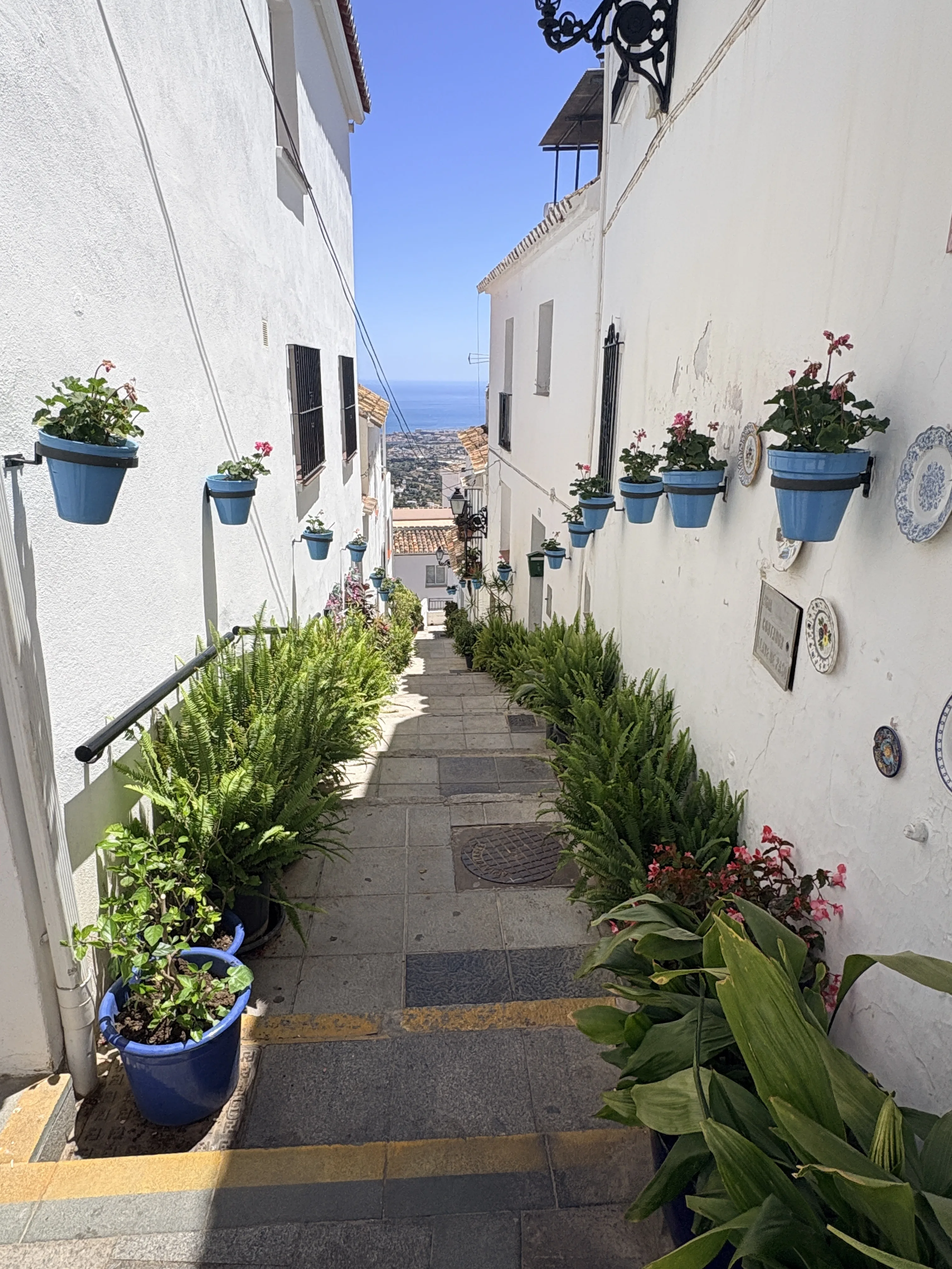 Narrow street in Mijas lined with blue flower pots against a white wall