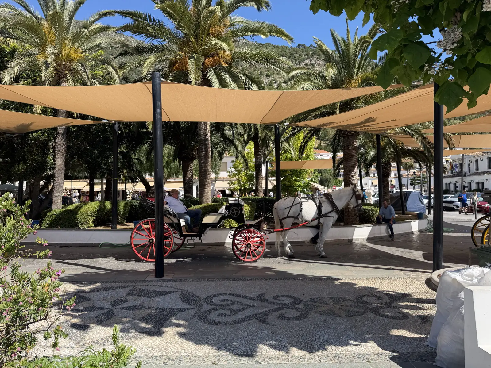 Wide view of a horse and carriage at the La Cala de Mijas market