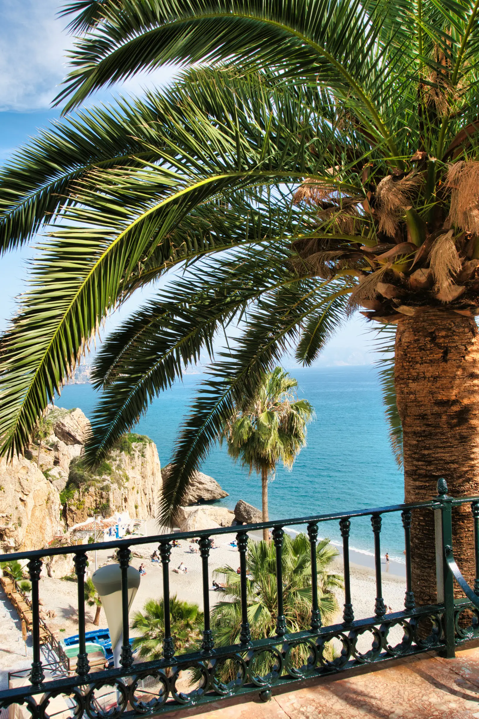 Playa Calahonda through a palm tree