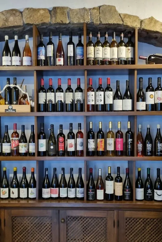 Entre Vinos local Ronda wines and cheese