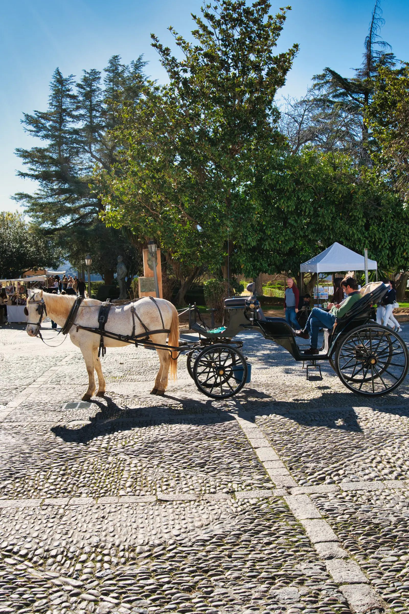 Horse carriage in Ronda plaza