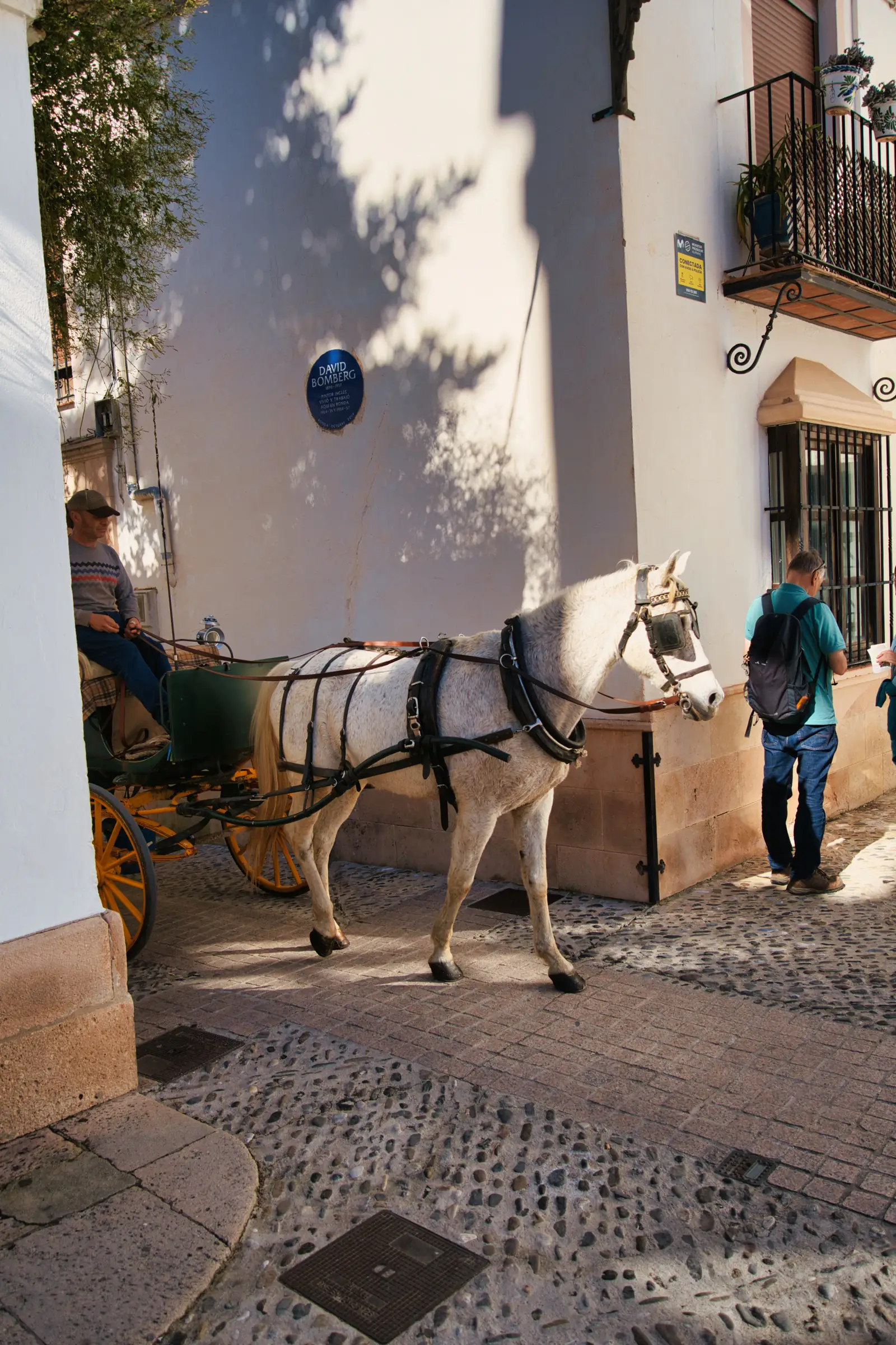 Traditional horse carriage in Ronda.