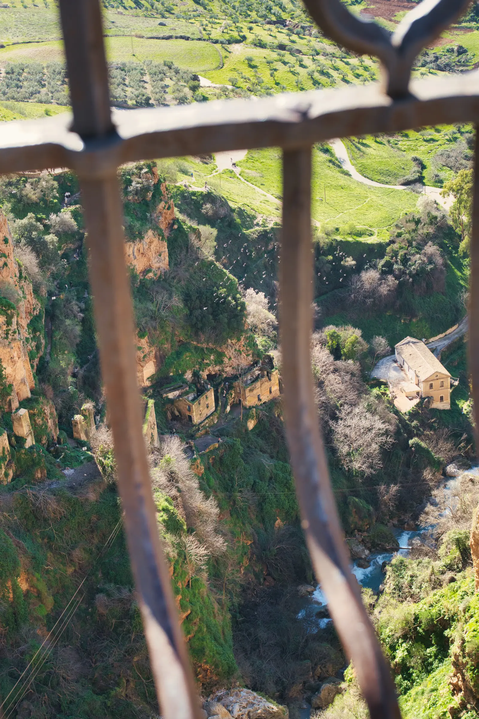 Old houses below the Puente Nuevo bridge