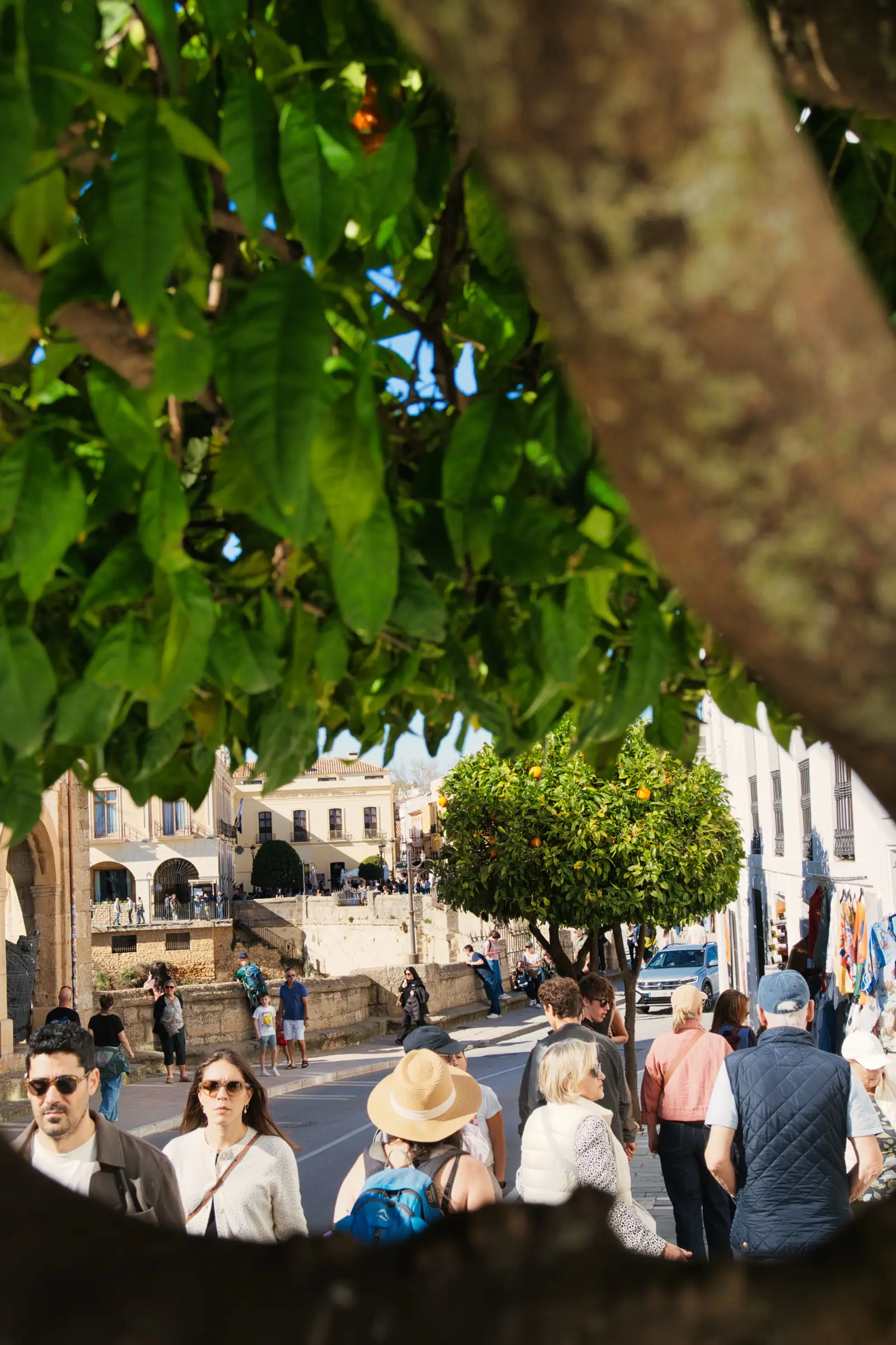 Postcard-worthy view of Ronda at dusk.