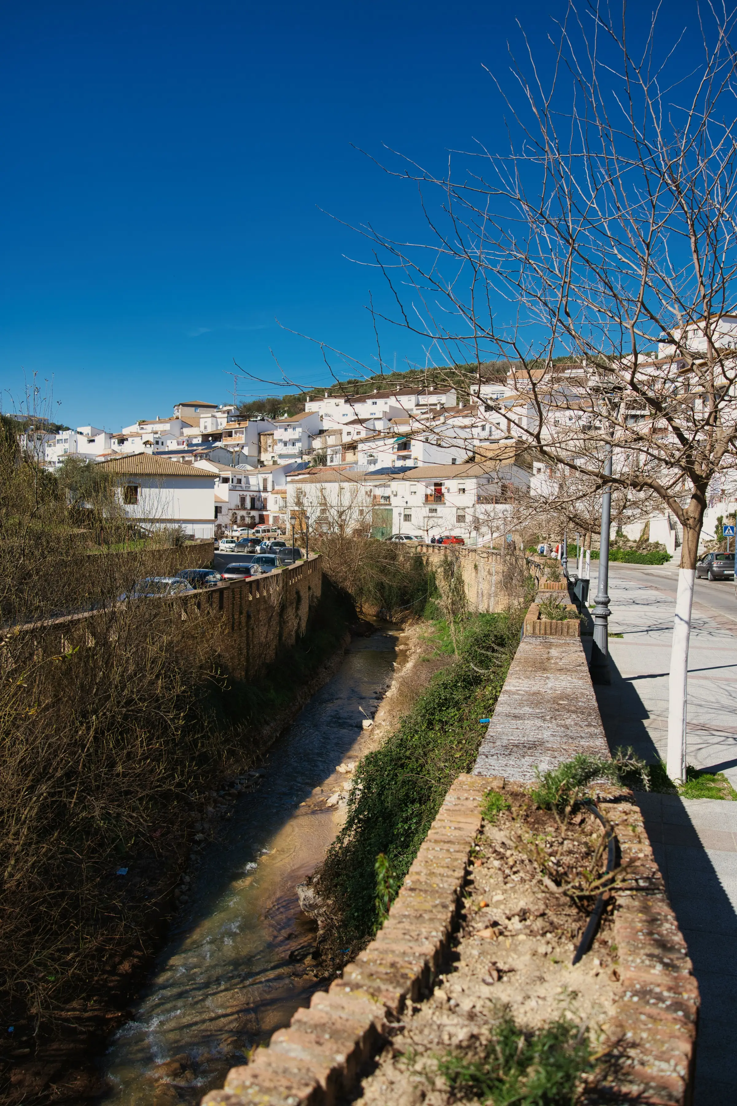 River view from the road